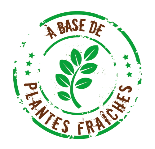 Ecorce'Saule